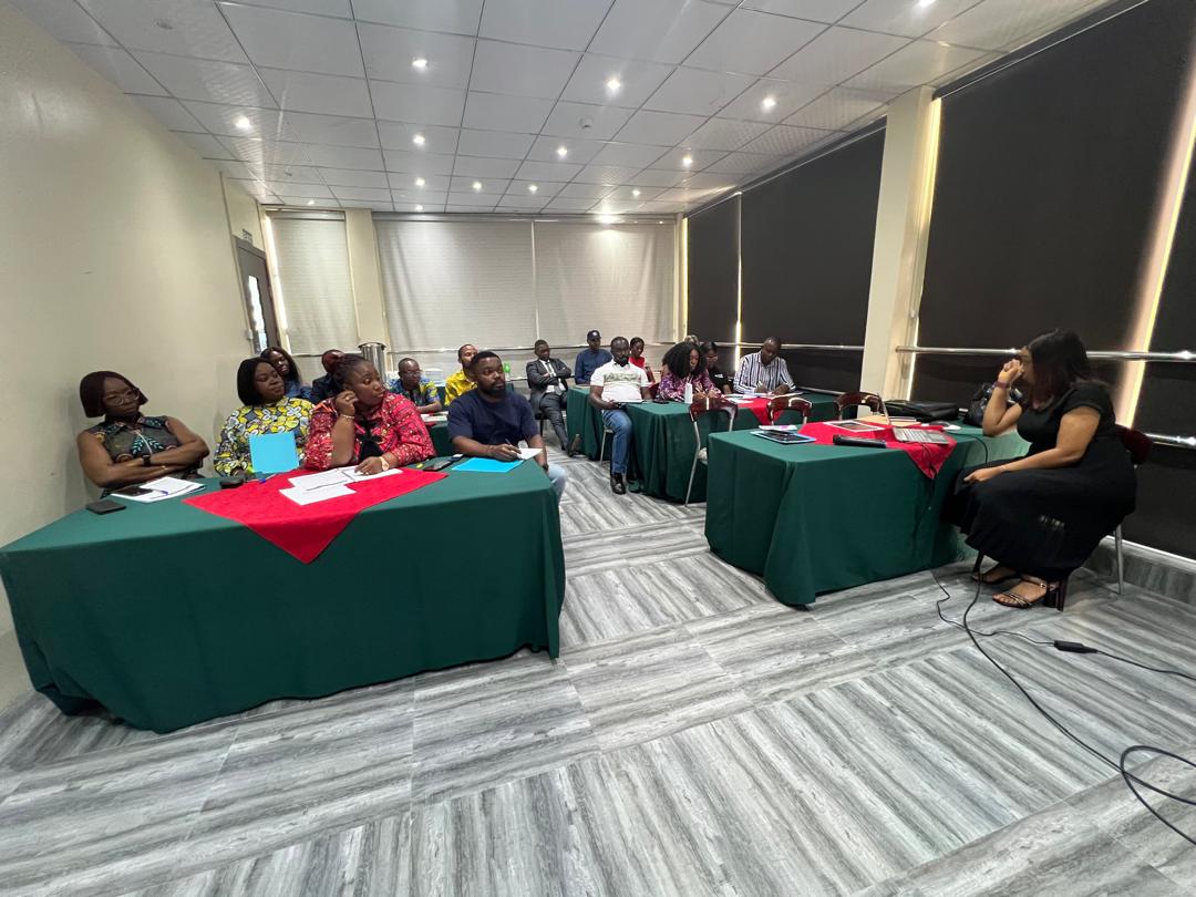 Uche facilitating a team workshop